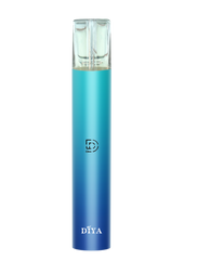 【 L倉 】DIYA 一代通用主機
