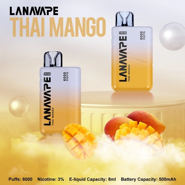 【 L倉 】LANA 6000口抛棄式